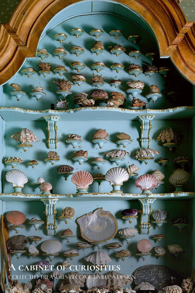 a cabinet of curiosities collected treasures become timeless design