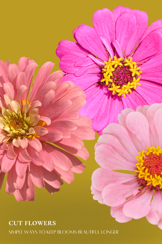 cut flowers simple ways to make blooms last longer in a vase