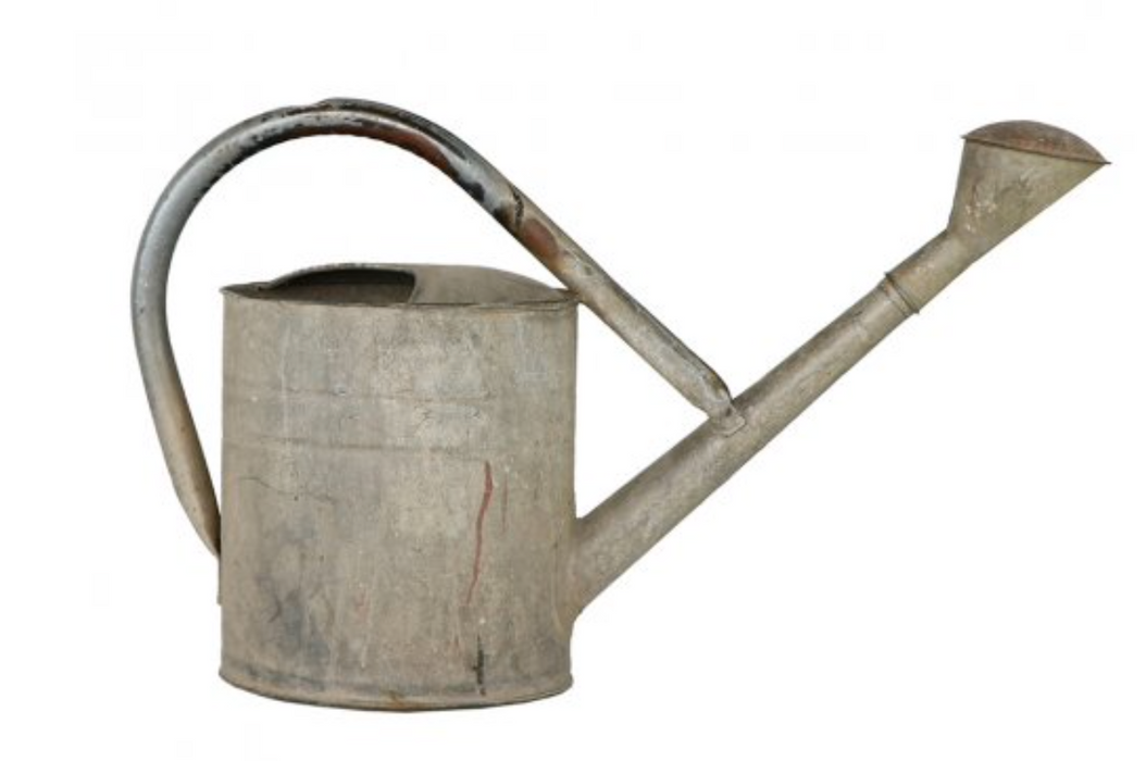 european zinc watering can