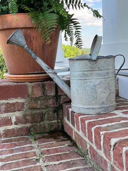 european zinc watering can